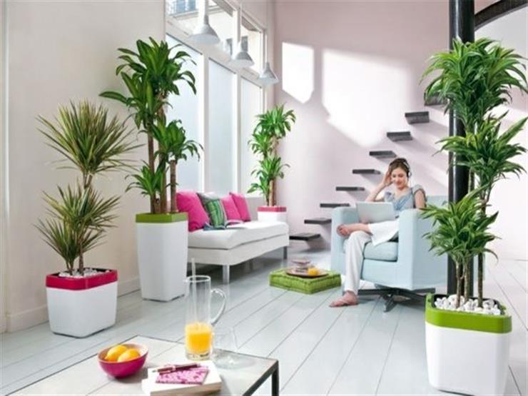 بحيل بسيطة.. جددي ديكور منزلك استعدادا لعيد الأضحى