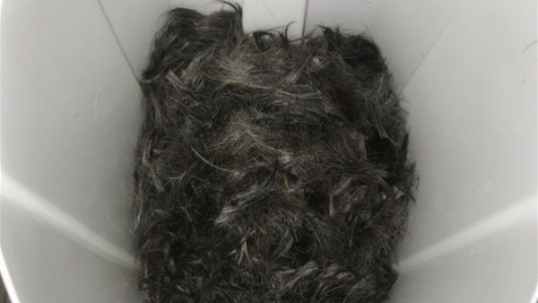 رجل يكشف محاولة صديقه صنع وسادة من شعر آدمي