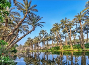 الريف المصري - مصر جميلة